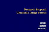 Research Proposal Ultrasonic Image Format 何祚明 陳彥甫 2002/4/10.