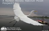 A Harbor Herons Habitat Pilot Project? Photo: Don Riepe.
