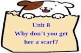Unit 8 Why don’t you get her a scarf? Section B Section B.