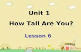 How Tall Are You? Unit 1 Lesson 6. Killer Whale Sperm Whale.
