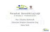 Parashat Bereshit Lej Lejá El Shaday 2 - Predestinación Por: Eliyahu BaYonah Director Shalom Haverim Org New York.