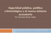 Seguridad pública, política criminológica y el nuevo sistema acusatorio Dr. Gonzalo Reyes Salas “ Seguridad Pública, Política Criminológica y el Nuevo.