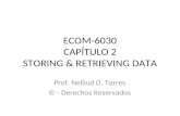 ECOM-6030 CAPÍTULO 2 STORING & RETRIEVING DATA Prof. Nelliud D. Torres © - Derechos Reservados.