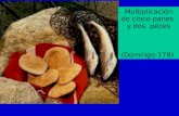 Multiplicación de cinco panes y dos peces (Domingo 17B)