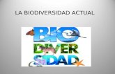 ÍNDICE ¿Qué es la biodiversidad? Tipos de biodiversidad Importancia de la biodiversidad La biodiversidad en Colombia. Causas de la rica diversidad colombiana.