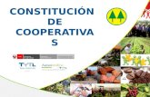 CONSTITUCIÓN DE COOPERATIVAS. RÉGIMEN ADMINISTRATIVO DE LAS COOPERATIVAS.