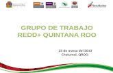 25 de marzo del 2013 Chetumal, QROO.. Agenda reunión de titulares GT-REDD+QROO Presentación de “zonas prioritarias para acciones tempranas REDD+QROO”.