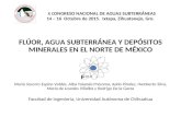 X C ONGRESO NACIONAL DE AGUAS SUBTERRÁNEAS 14 – 16 Octubre de 2015. Ixtapa, Zihuatanejo, Gro. FLÚOR, AGUA SUBTERRÁNEA Y DEPÓSITOS MINERALES EN EL NORTE.