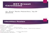 BST Breast Carcinoma Emir