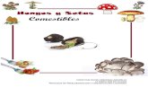 España, Hongos y Setas Comestibles - Christian David Cárdenas Argüello