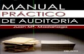 Manual Práctico de Auditoría