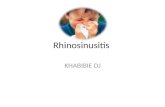 Rhino Sinusitis
