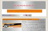 Kamagra ist die meisten Heilmittel bei Impotenz Problem empfohlen.