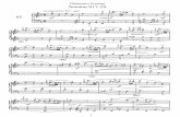 Sonatas, Supp 17-29