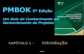 PMBOK 5ª Edição - CAP 01 e CAP 02 - Gerência de Projetos