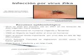Zika Presentacion