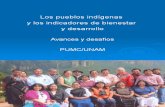 Los Pueblos Indigenas Investigacion