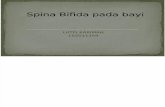 Uppi - Spina Bifida