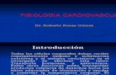 01- Fisiologia Cardiovascular