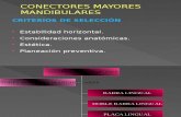 Conectores Mayores