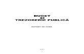 Buget Si Trezorerie Publica_2015