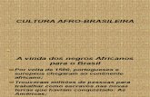 Cultura Afro Brasileira