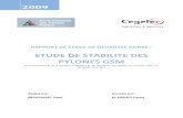 Rapport 2009 Cegelec