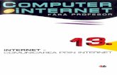 [N] Computer&Internet FP 13 [8z]