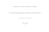 Monografia Luis Soto Teoria Comunicacion