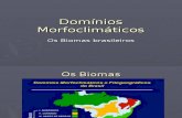 dominios_morfoclimaticos (1).pps