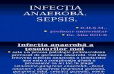 217511985 Prezentatia Infectia Anaerobfbfbfbfa Sepsis Slaid 58