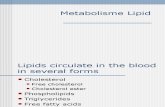 Presentasi Metabolisme Lipid