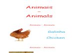 Animais - Animals