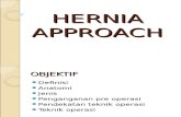 Hernia Approach