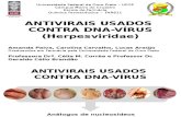 Antivirais Usados Contra DNA-Vírus (Herpesviridae)