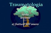Traumatologia 6