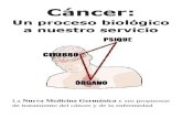 Cancer un proceso a nuestro servicio