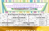 Instituciones Representativas-Semanas 9-10-11
