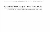 Constructii Metalice Dan Mateescu