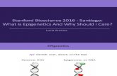 Epigenetics - Santiago 2016