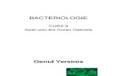 Bacteriologie Curs 9