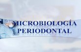 Microbiologia Periodontal