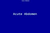 Acute Abdomen(1).ppt