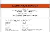 1. Lapsus Ariz