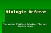 Biologie Referat Von Julian Platter, Scheiber Florian, Dominik Jäger.