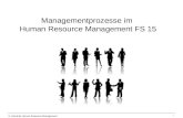 © Lehrstuhl Human Resource Management1 Managementprozesse im Human Resource Management FS 15.