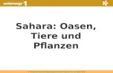 © Österreichischer Bundesverlag Schulbuch GmbH & Co. KG, Wien 2015 Sahara: Oasen, Tiere und Pflanzen.
