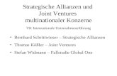 Strategische Allianzen und Joint Ventures multinationaler Konzerne VK Internationale Unternehmensführung Bernhard Schrittwieser – Strategische Allianzen.