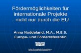 Institut für europäische Partnerschaften und internationale Zusammenarbeit e.V. Fördermöglichkeiten für internationale Projekte - nicht nur durch die EU.