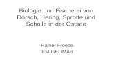 Biologie und Fischerei von Dorsch, Hering, Sprotte und Scholle in der Ostsee Rainer Froese IFM-GEOMAR.
